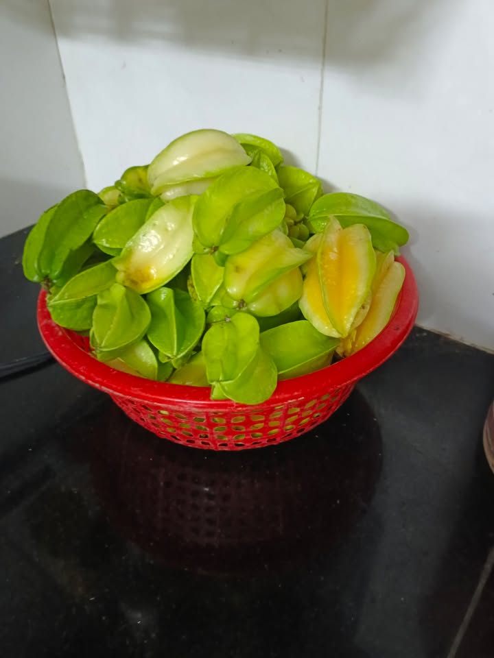 Đất thổ cư 800m² tại Mỹ Tài, Phù Mỹ chỉ 400 triệu - Đầu tư sinh lời ngay!