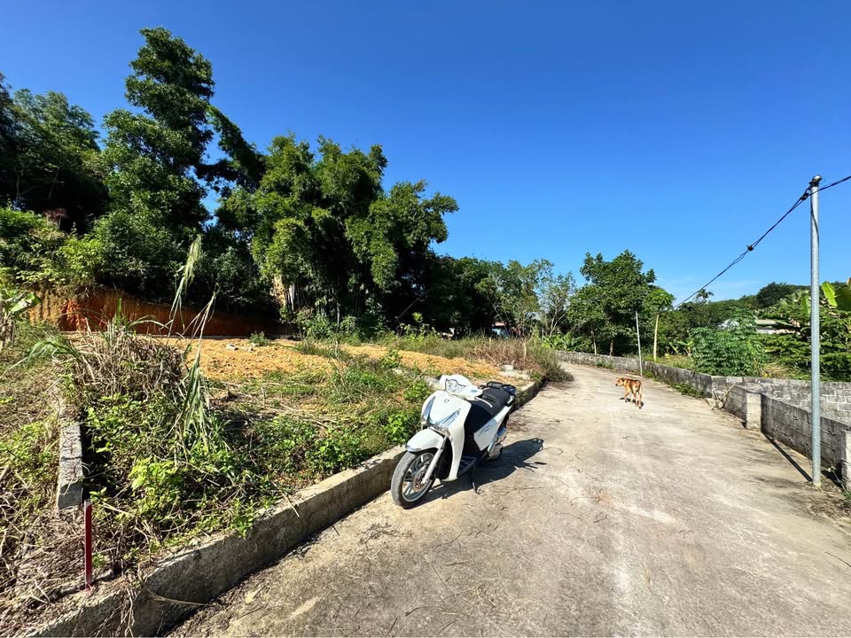 Đất Thịnh Đán Thái Nguyên 92.6m² giá 1.29 tỷ - Đường rộng ô tô tránh nhau!