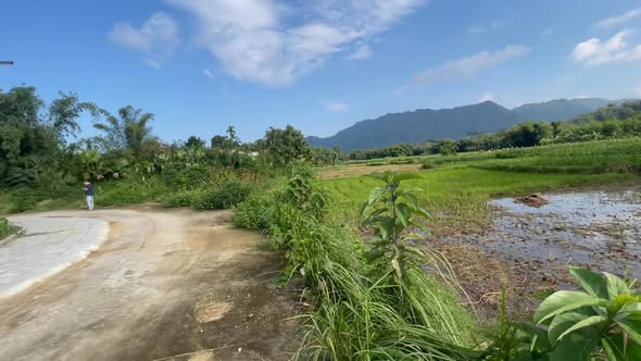 Đất nền Vô Tranh Hạ Hoà 240m² giá 300 triệu - Cơ hội đầu tư tuyệt vời!