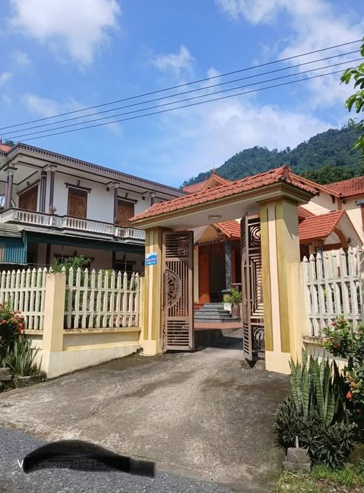 Đất mặt đường nhựa Tỉnh Lộ Cẩm Thủy 256m² giá 400 triệu - Sổ đỏ chính chủ!