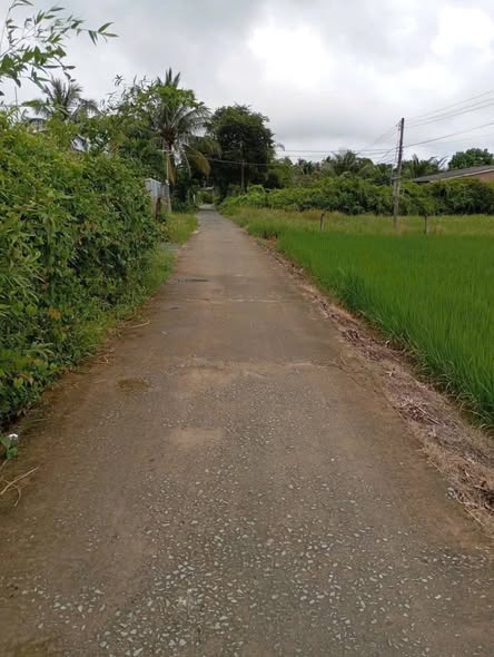 Đất và nhà ấp Bình Cang 2, Thủ Thừa, Tây Ninh 1000m² - Giá 1.8 tỷ, vào ở ngay!