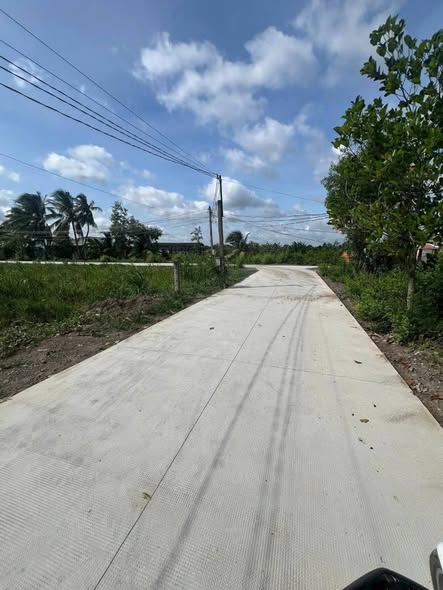 Đất nền 1365m² tại xã Bình Tâm, Tân An - Giá 1.6 tỷ, cơ hội đầu tư hấp dẫn!