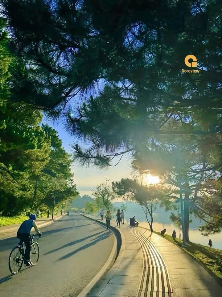 Nhà mặt tiền Khu quy hoạch số 5 An Sơn, Đà Lạt 116m² giá 8.6 tỷ - Đầu tư sinh lời!