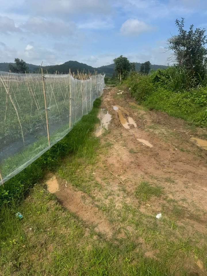 Đất nền 4,7 sào tại Tu Tra, Đơn Dương chỉ 1.034 tỷ - Sổ đỏ chính chủ, đường ô tô