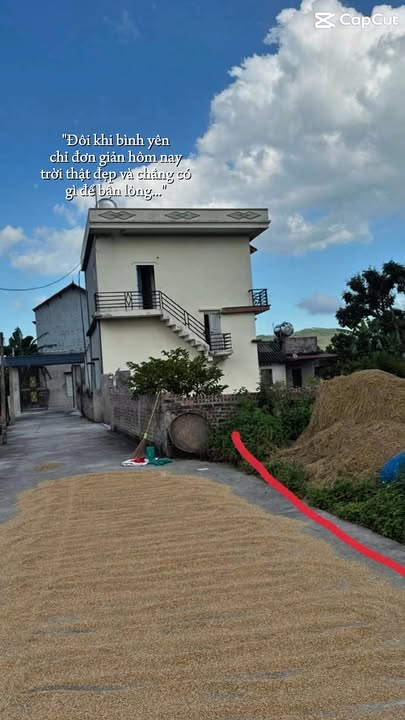 Đất nền Nghĩa Phương Lục Nam 266m² giá 700 triệu - Chốn bình yên cho cuộc sống an lạc!