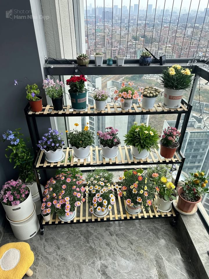 Mặt tiền FrontHouse An Dương Vương Buôn Ma Thuột 110m² giá 2.5 tỷ - Đầu tư sinh lời ngay!