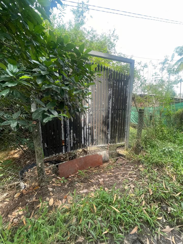 Đất mặt tiền Thạnh Xuân 31, quận 12, 740m² giá 6.x tỷ - Cơ hội đầu tư tuyệt vời!