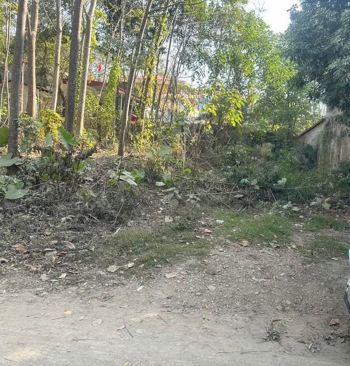 Đất thổ cư mặt đường Bến Oánh, Thái Nguyên 86m² giá 1.75 tỷ - Cơ hội đầu tư hấp dẫn!