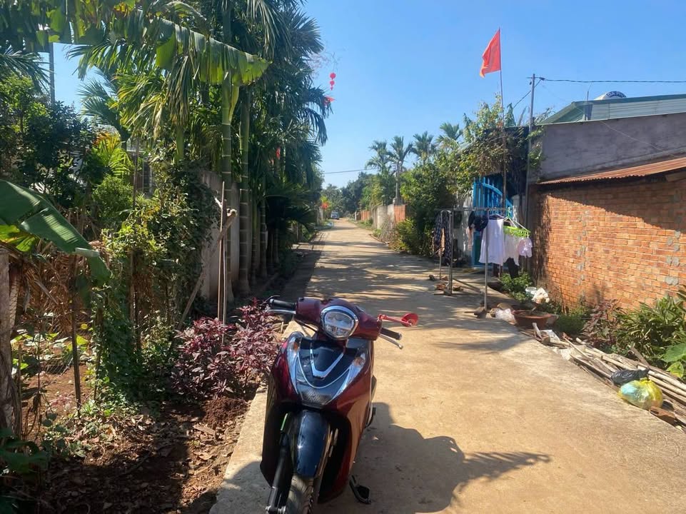 Đất nền chính chủ tại thôn Nam Hòa, Dray Bhăng, 203m² - Giá thương lượng hấp dẫn!