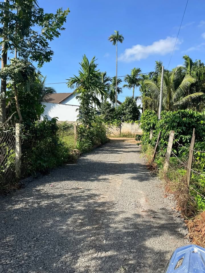 Đất thổ cư tại thôn 2A, xã Ea Ktur, Đắk Lắk 238m² giá 578 triệu - Cơ hội đầu tư tuyệt vời!