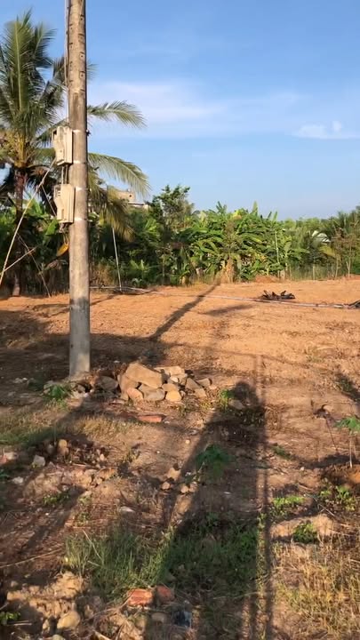 Đất nền mặt tiền Quốc lộ 60, 1000m² giá 1.75 tỷ - Đầu tư sinh lời ngay!