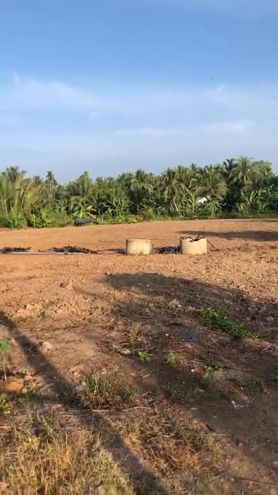 Đất mặt tiền Quốc lộ 60, 1000m² giá 1.75 tỷ - Đầu tư sinh lời ngay!