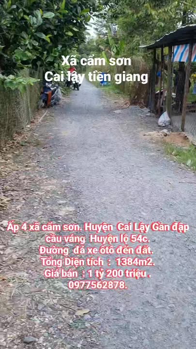 Đất vườn sầu riêng ấp 4, xã Cẩm Sơn, huyện Cai Lậy 1.384m² - Đường ô tô vào tận nơi!