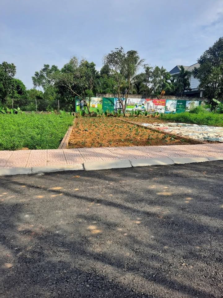 Đất thổ cư 123.7m² tại Phú Cát, Quốc Oai - Giá tốt thương lượng!