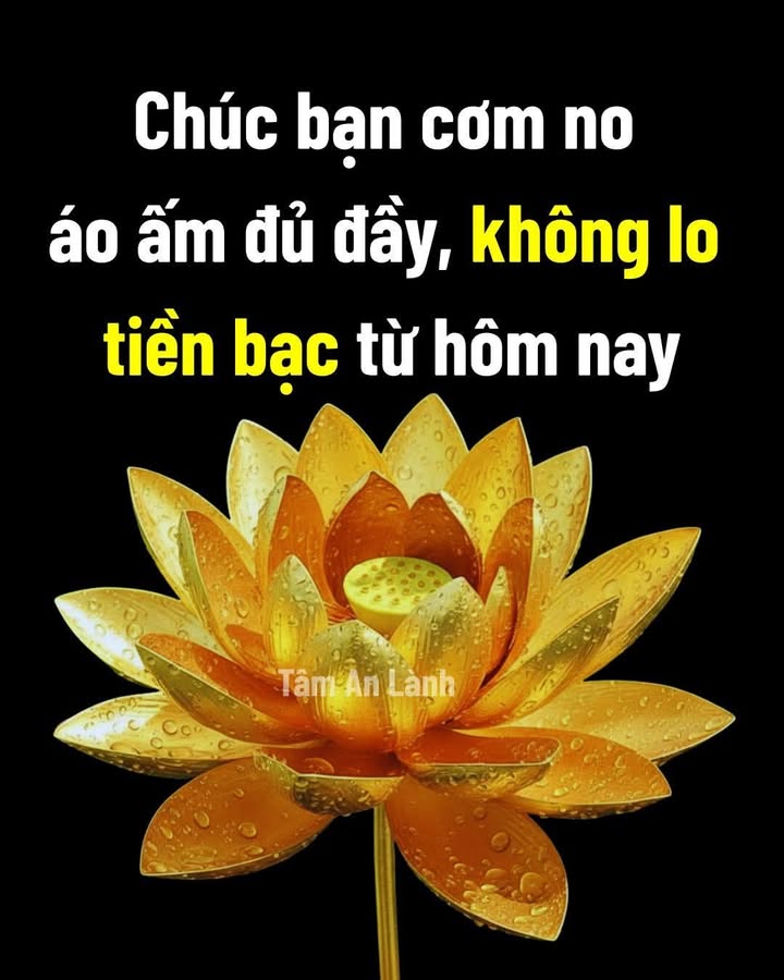 Đất thổ cư 83.2m² tại Rạch Dừa, 6.7 tỷ - Cơ hội đầu tư tuyệt vời!