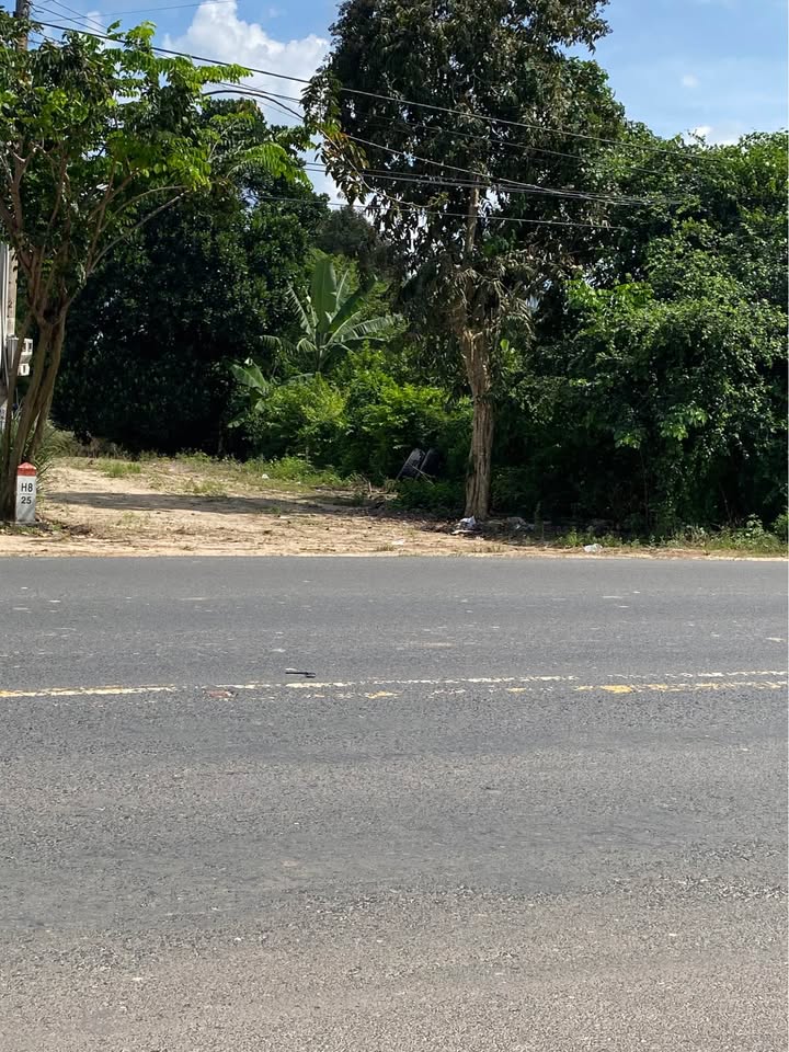 Đất nền mặt tiền đường DT 785, xã Tân Phú 549.86m² giá 2.55 tỷ - Cơ hội đầu tư kinh doanh đắc địa!