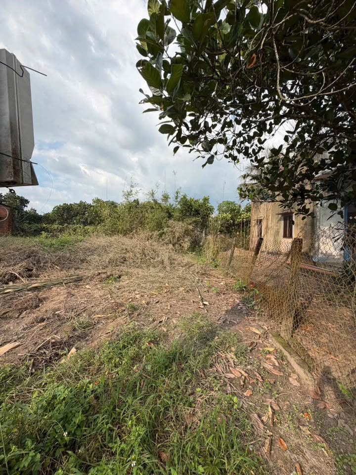 Đất Trường Đông, Hòa Thành 80m² giá 320 triệu - Vị trí đẹp, tiện ích đầy đủ!