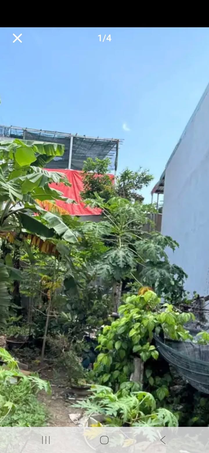 Đất nền Cẩm Lệ Đà Nẵng 123m² giá 2.9 tỷ - Đầu tư sinh lời ngay!