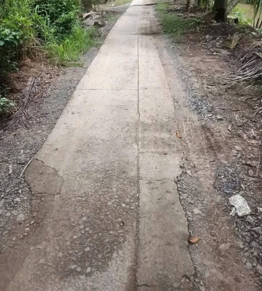 Đất dừa tại Mỹ Hoà, Ba Tri, Bến Tre 10000m² giá 360 triệu - Đầu tư sinh lời ngay!