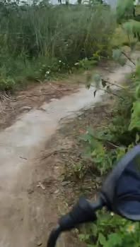 Đất nền đô thị Sơn Tịnh 137m² giá chỉ 200 triệu - Cơ hội đầu tư tuyệt vời!