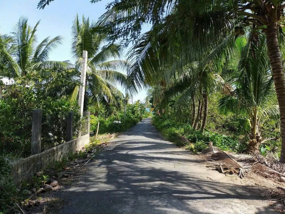 Đất nền 700m² tại Long Hồ, Vĩnh Long giá chỉ 1.125 tỷ - Cơ hội đầu tư tuyệt vời!