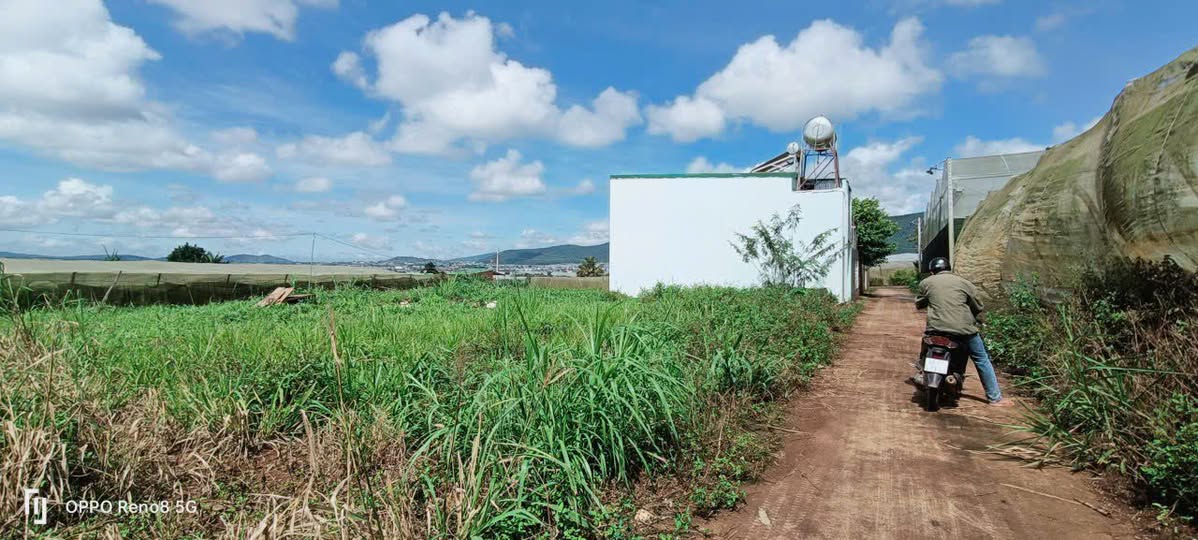 Đất thổ cư Quảng Lập 290m² giá 900 triệu - Sẵn sàng xây dựng ngay!