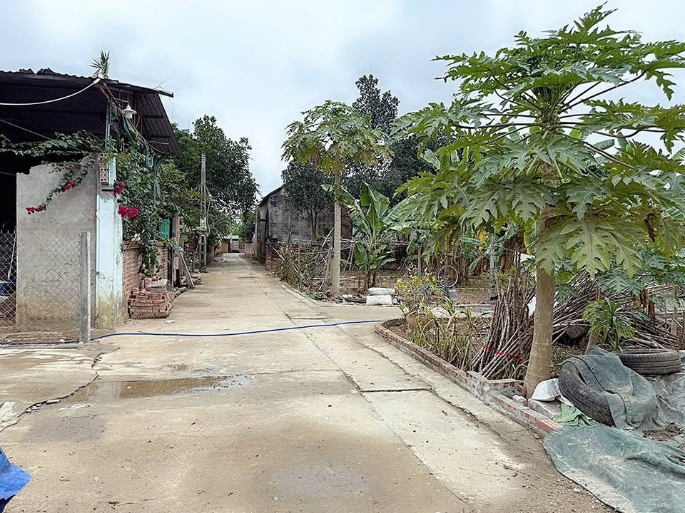 Lô đất Tân Xã Thạch Thất 60m² giá thỏa thuận - Cơ hội đầu tư hấp dẫn!