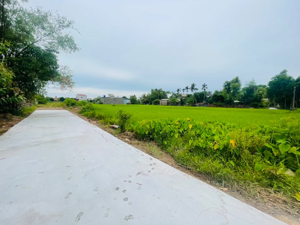 Đất nền Tượng Sơn, Thạch Hà 126m² giá 1 tỷ - Đường bê tông 7m, gần trường học!