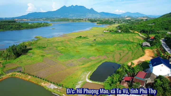 Đất nền Phượng Mao, Thanh Thủy, Phú Thọ 87m² giá 800 triệu - Cơ hội đầu tư hấp dẫn!