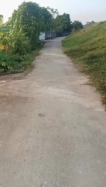 Đất nền Đông Thành Hậu Lộc 1390m² giá 417 triệu - Cơ hội đầu tư tuyệt vời!