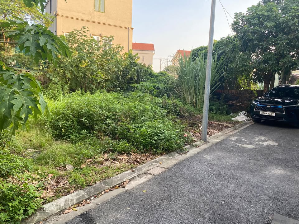 Đất Ngọc Động 100m² giá 7 tỷ - Ô tô vào đất, sổ đỏ nở hậu!