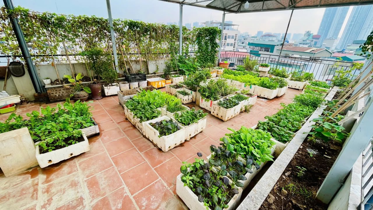 Căn hộ Mễ Trì 40m² giá 6.5 triệu - Full nội thất cao cấp