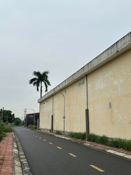 Đất đấu giá 105m² Nam Sơn, An Dương giá chỉ 2.5 tỷ - Vị trí đắc địa gần Vin