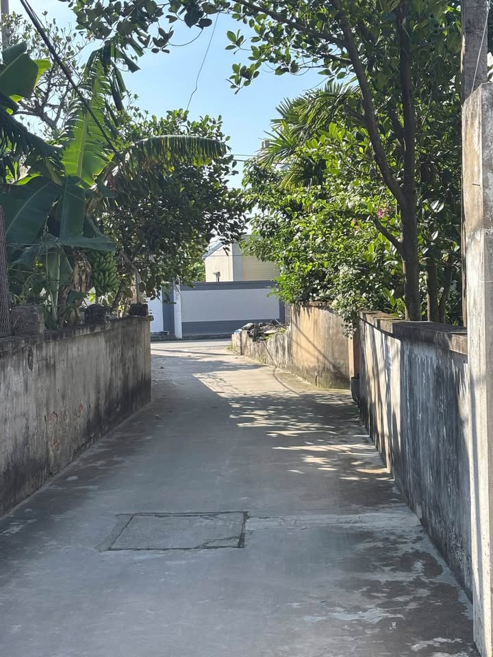 Đất nền Dương Kinh Hải Phòng 40m² - Cơ hội đầu tư hiếm có!