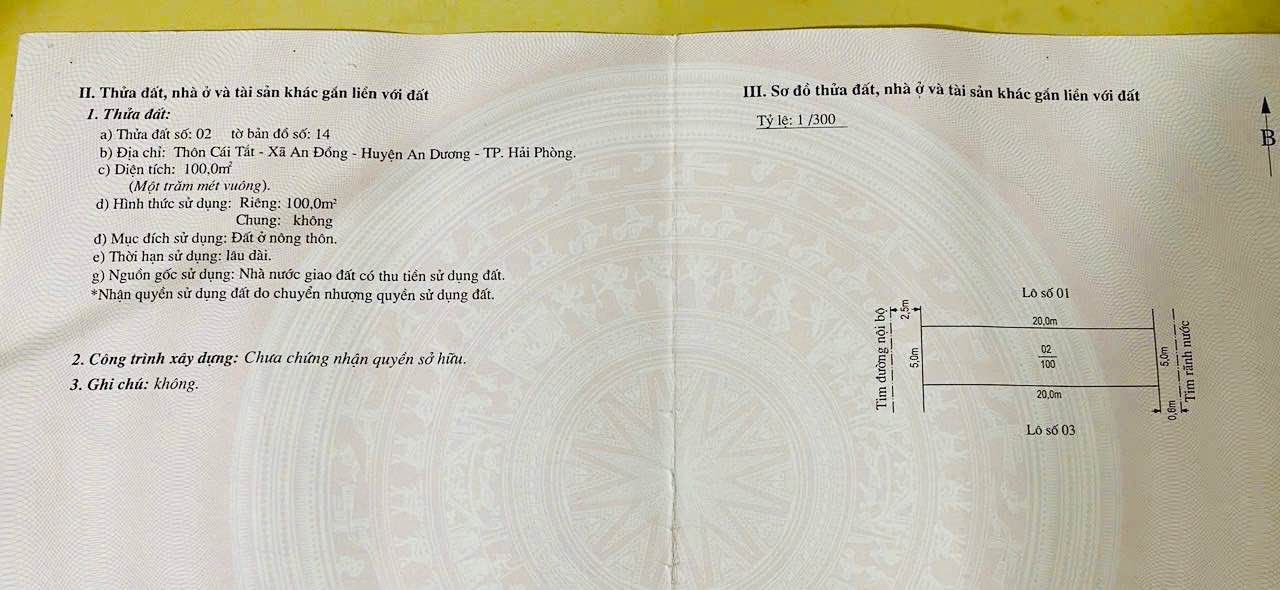 Đất nền 100m² tại An Đồng, Hải Phòng - Đường thông các ngả, giá chỉ 4 tỷ!