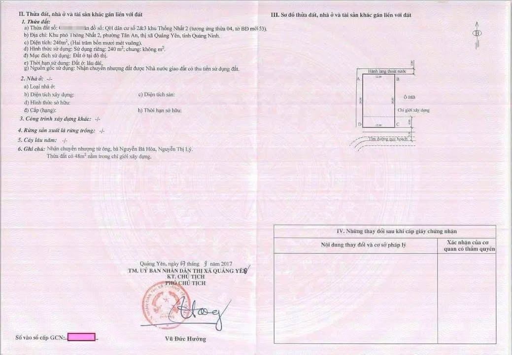 Đất nền Tân An Quảng Yên 240m² giá cực đầu tư - Mặt tiền 12m ô tô tránh nhau!