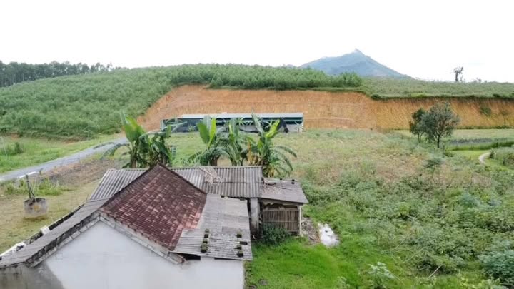 Đất mặt tiền 50m tại Thanh Hương, 1800m² - Cơ hội đầu tư hấp dẫn!