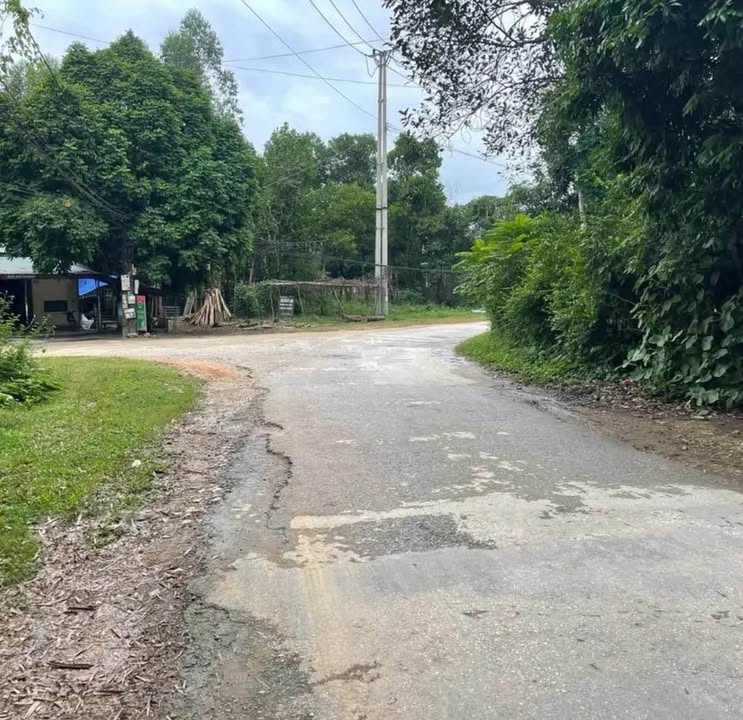 Đất nền Kim Phú Tuyên Quang 4000m² giá 1.2 tỷ - Phù hợp làm trang trại