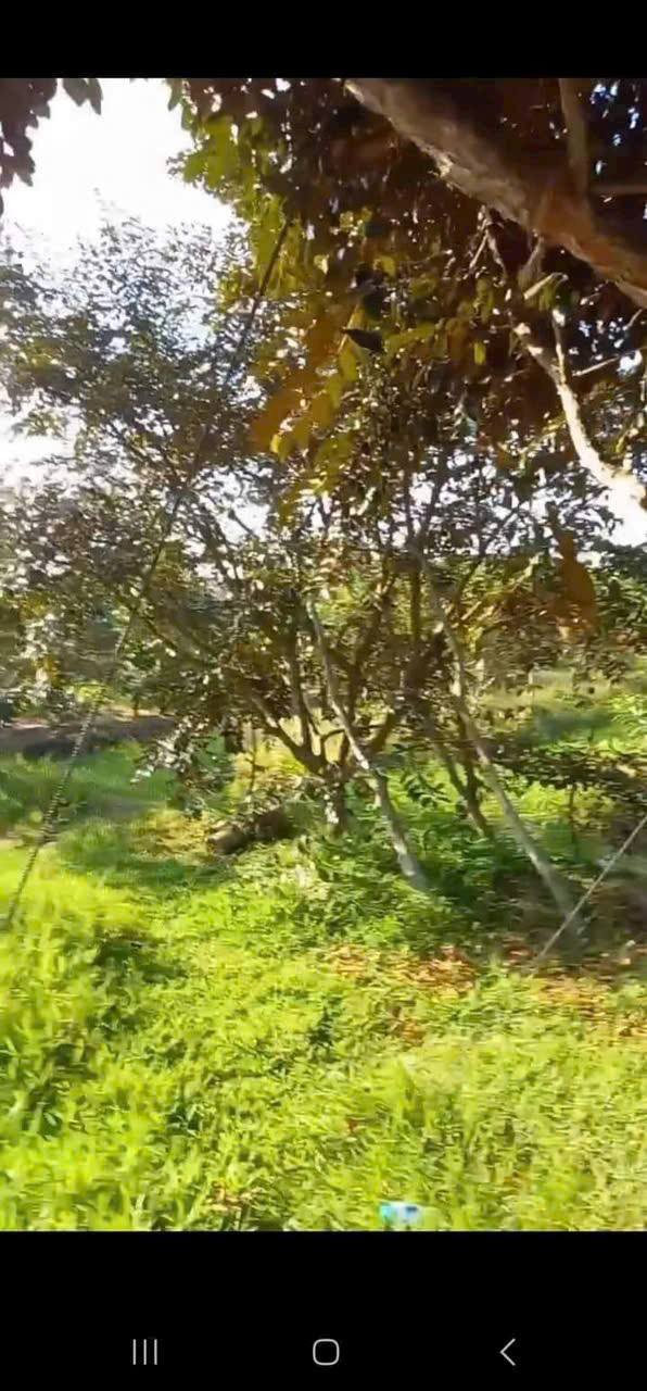 Đất nền An Bình, Ninh Kiều, Cần Thơ 2.645m² - Giá thỏa thuận, sổ đỏ chính chủ!