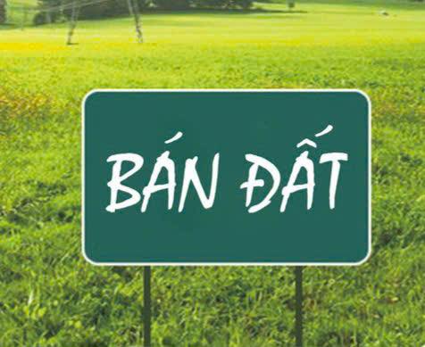 Đất ruộng 3,1 công mặt tiền lộ 2m tại Thới Lai, Cần Thơ - Giá chỉ 800 triệu!