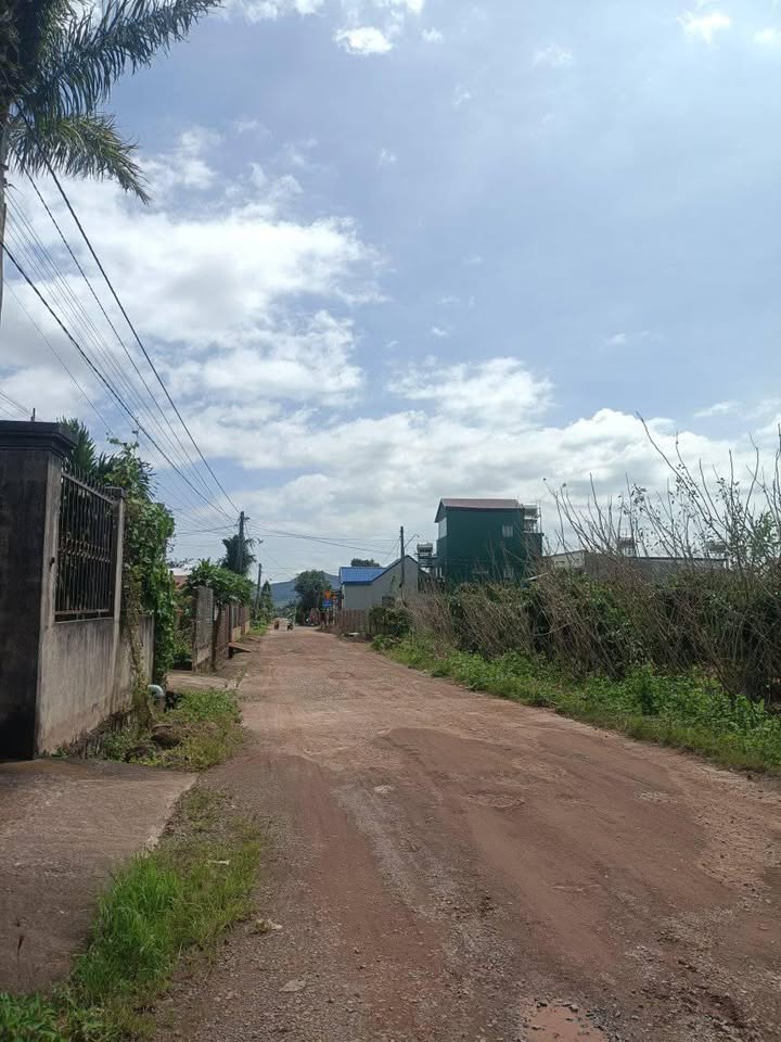 Đất nền Hiệp Thạnh, Lâm Đồng 3740m² - Lô góc 2 mặt tiền, giá tốt!