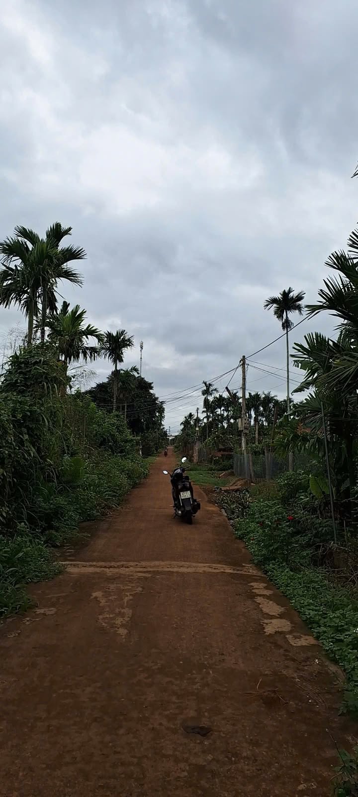 Đất thổ cư 530m² tại thôn Xuân Tây, xã Phú Xuân, giá 699 triệu - Đầu tư lý tưởng!