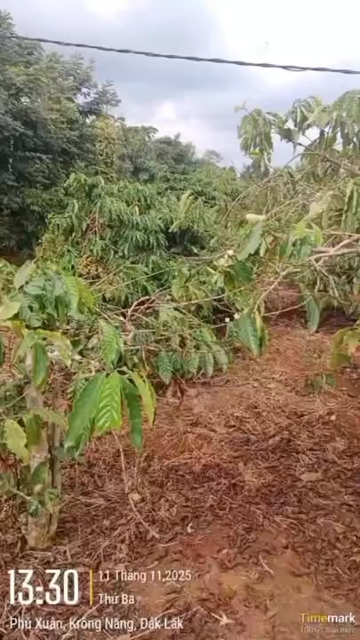 Đất thổ cư Phú Xuân - Krông Năng - 6510m² giá 3.9 tỷ - Sổ hồng riêng, đầu tư sinh lời!