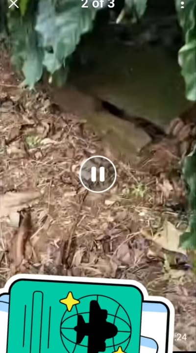 Đất đẹp 1.56ha tại Ea Tân, Krông Năng - Cơ hội đầu tư không thể bỏ lỡ!