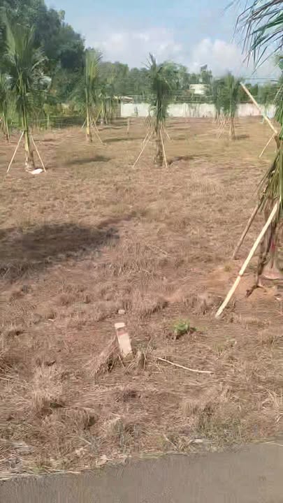 Đất nền Phước Thuận, Xuyên Mộc, 519.5m² giá chỉ 2.35 tỷ - Đầu tư sinh lời hấp dẫn!