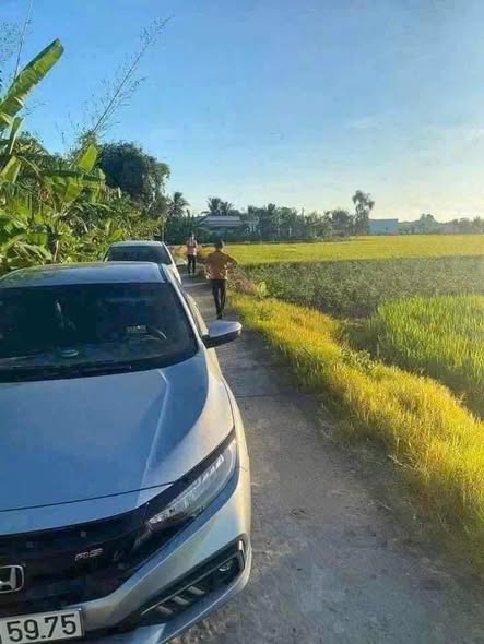 Đất lúa 1000m² tại xã Nhơn Thạnh Trung, Long An - Giá chỉ 1 tỷ thương lượng!