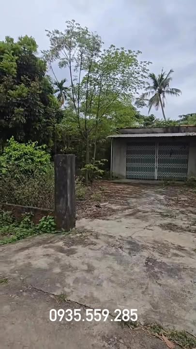 Đất vườn Tam Ngọc 286m² giá 1.3 tỷ - Sổ hồng chính chủ, đường ô tô vào tận nơi!