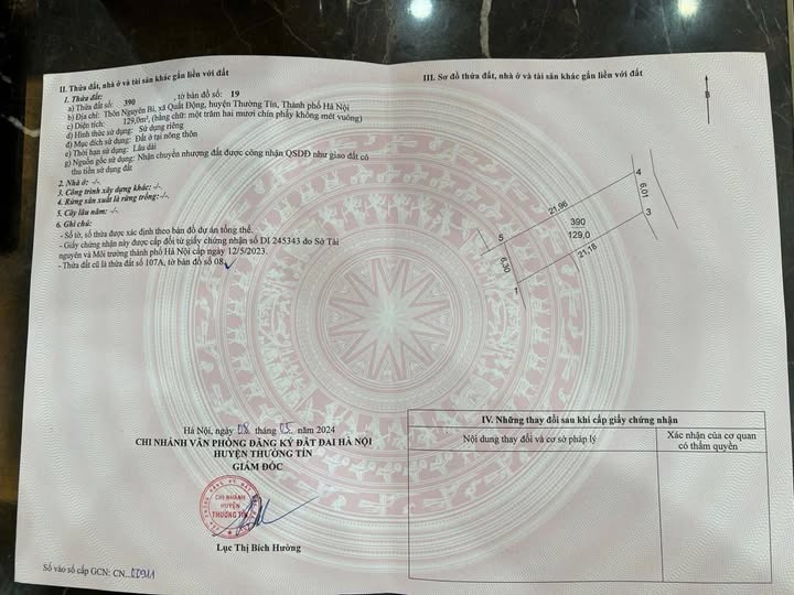 Đất Nguyên Bì, Quất Động, Thường Tín 129m² - Hướng Đông Bắc, Ô Tô Đỗ Cửa!