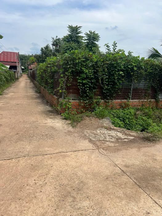 Đất nền 175m² tại ấp 6, xã Tân Thành, Đồng Xoài – Sổ đỏ chính chủ, giá thỏa thuận!