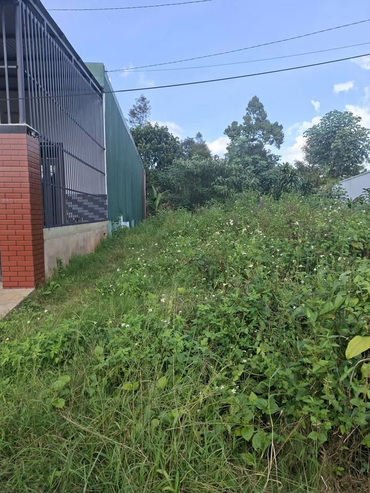 Đất nền B'lao Bảo Lộc 135m² giá 1.7 tỷ - Bán gấp trong tuần!